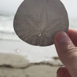 Meet your Posher, Aliyah brown